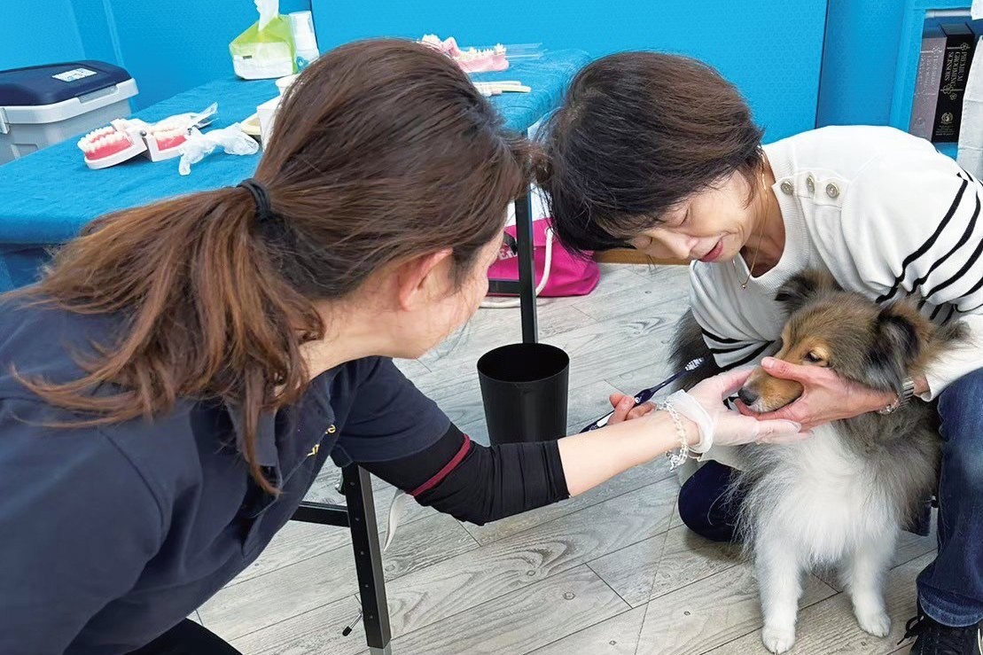 保定のレクチャー