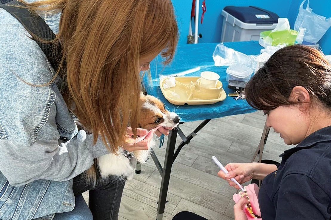 歯ブラシの選び方