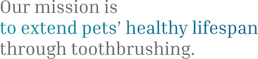 わたしたちのミッションは歯磨きでペットの健康寿命を延ばすことです。
