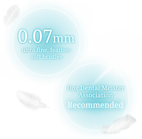 0.07mm ultra-fine bristles Recommended badge
