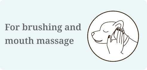 For brushing and mouth massage