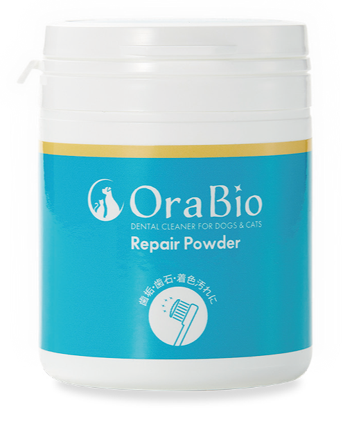 Repair Powder (Large Size)