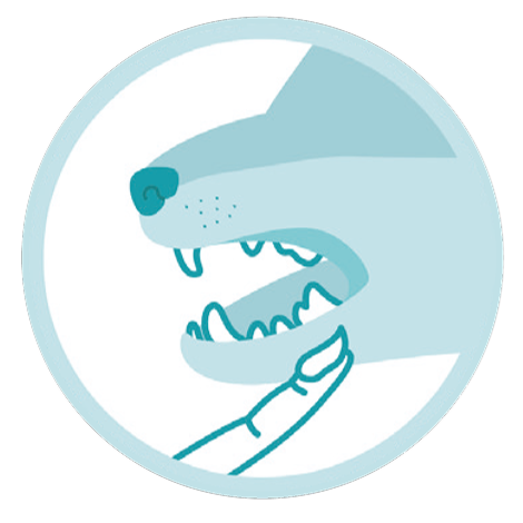 Apply with a finger for pets that dislike brushing