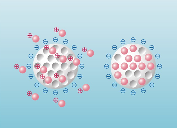 Structure of Zeolite