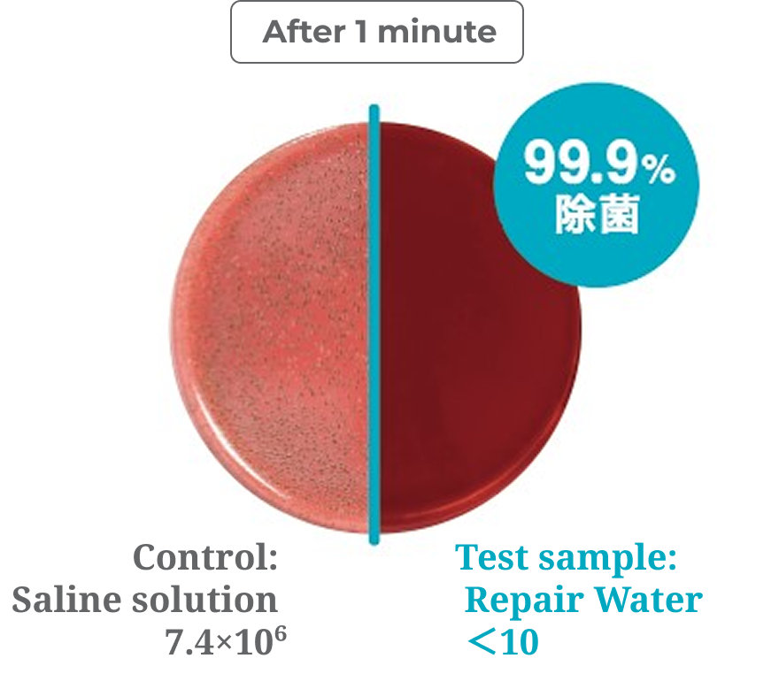 Antibacterial test against P. gingivalis