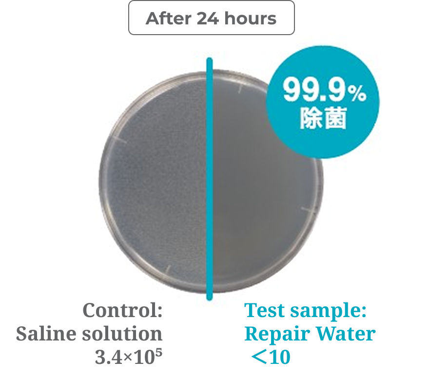 Antibacterial test against Mutans bacteria