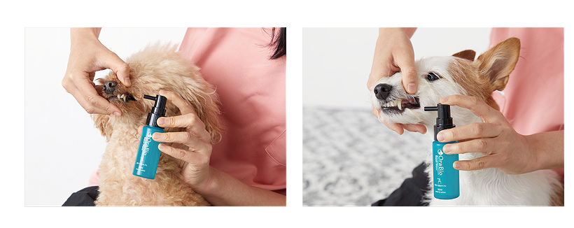 Repair Water usage scene 1