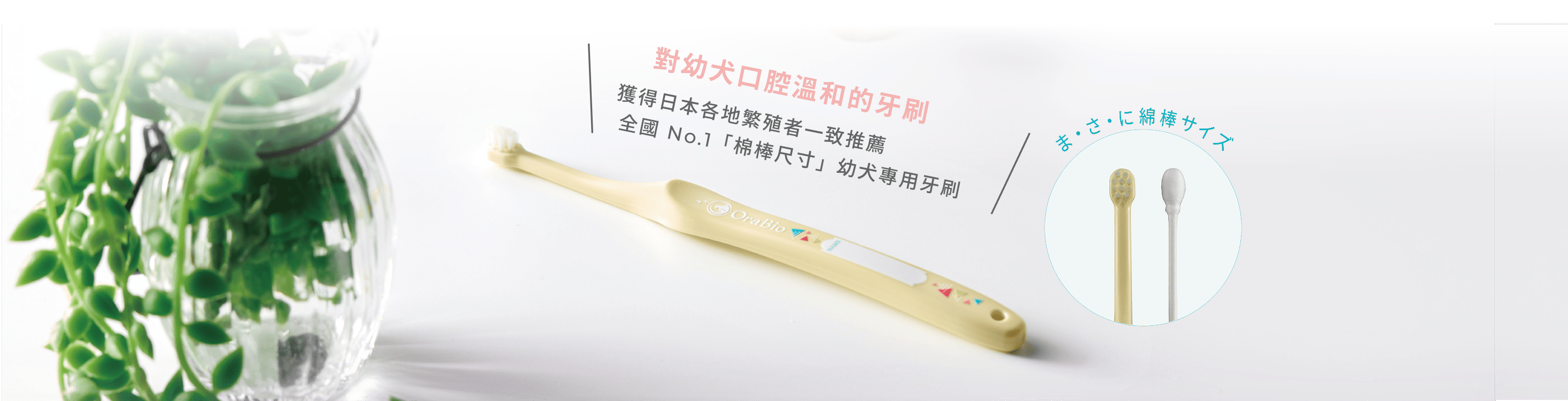 Main visual background