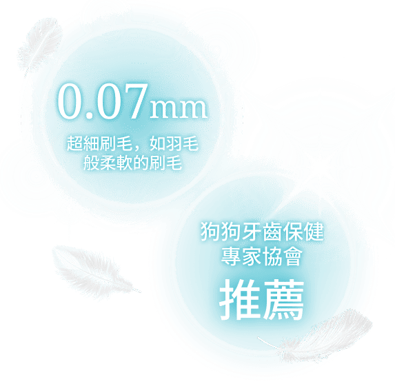 0.07mm 超極細刷毛推薦徽章