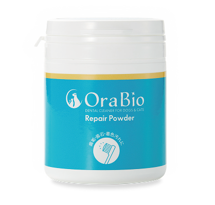 牙刷產品示意圖