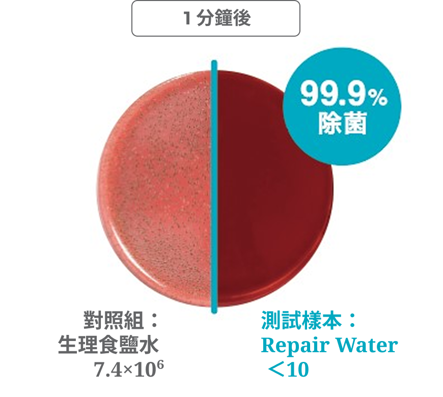 牙周菌（P. gingivalis）抗菌測試