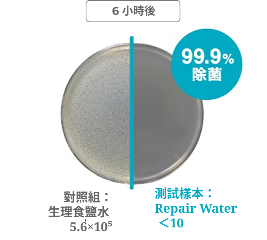 金黃色葡萄球菌 抗菌測試