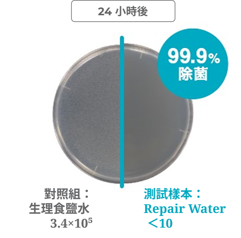 Mutans 菌 抗菌測試