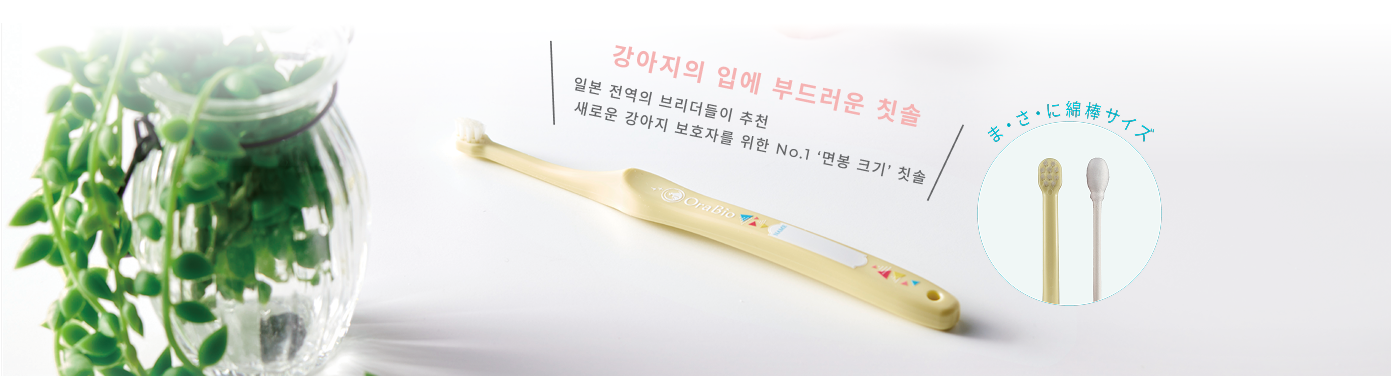 Main visual background