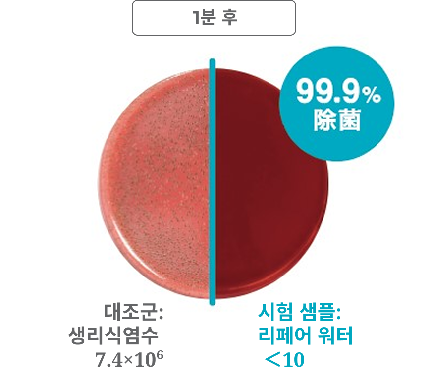 치주균(P. gingivalis)에 대한 항균 시험