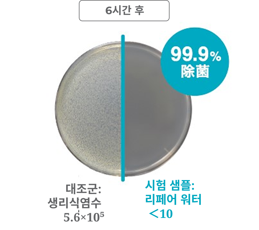 황색포도상구균에 대한 항균 시험