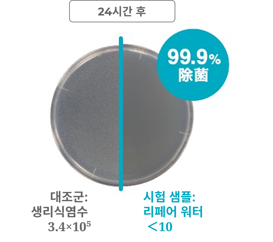 Mutans bacteria에 대한 항균 시험