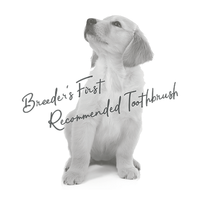 Breeder's First Recommended Toothbrush