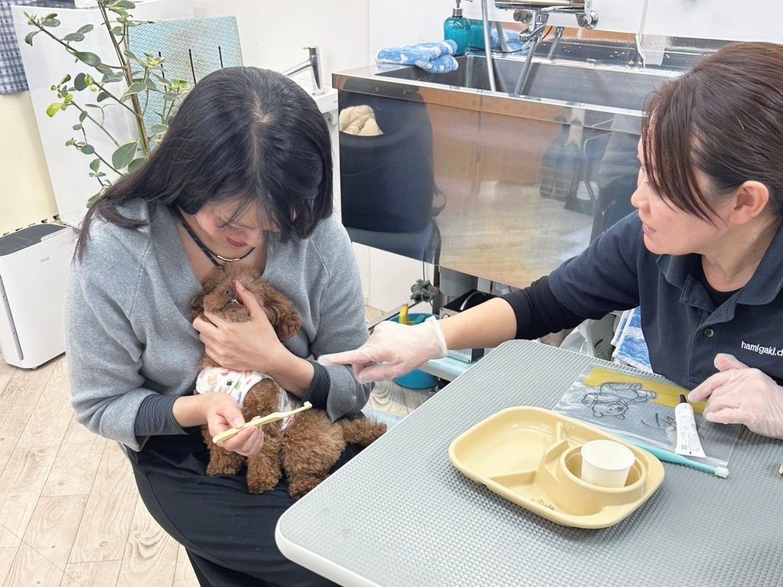宿題ポイントの確認