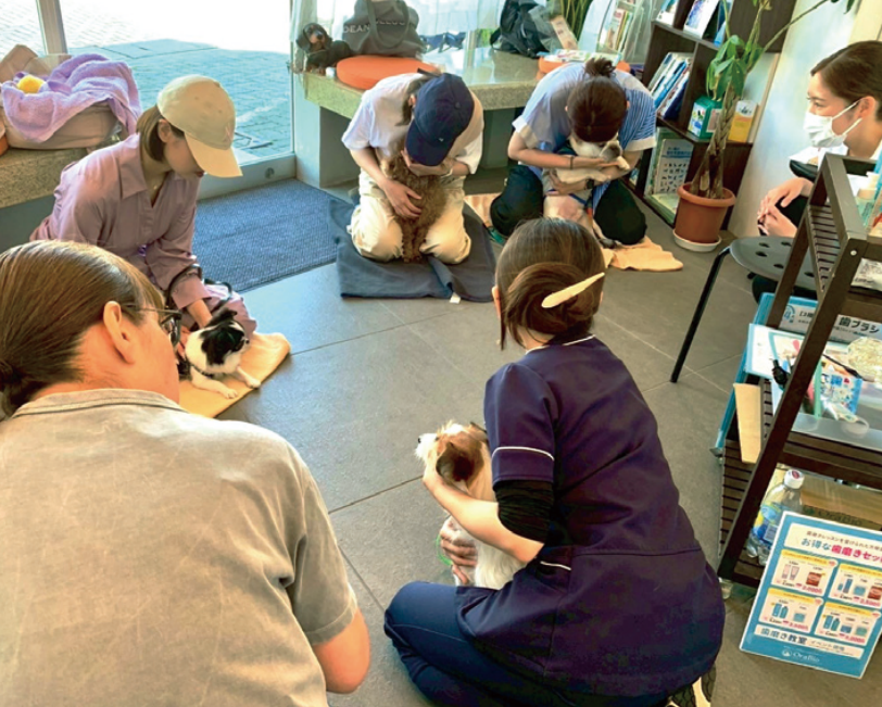 保定のレクチャー