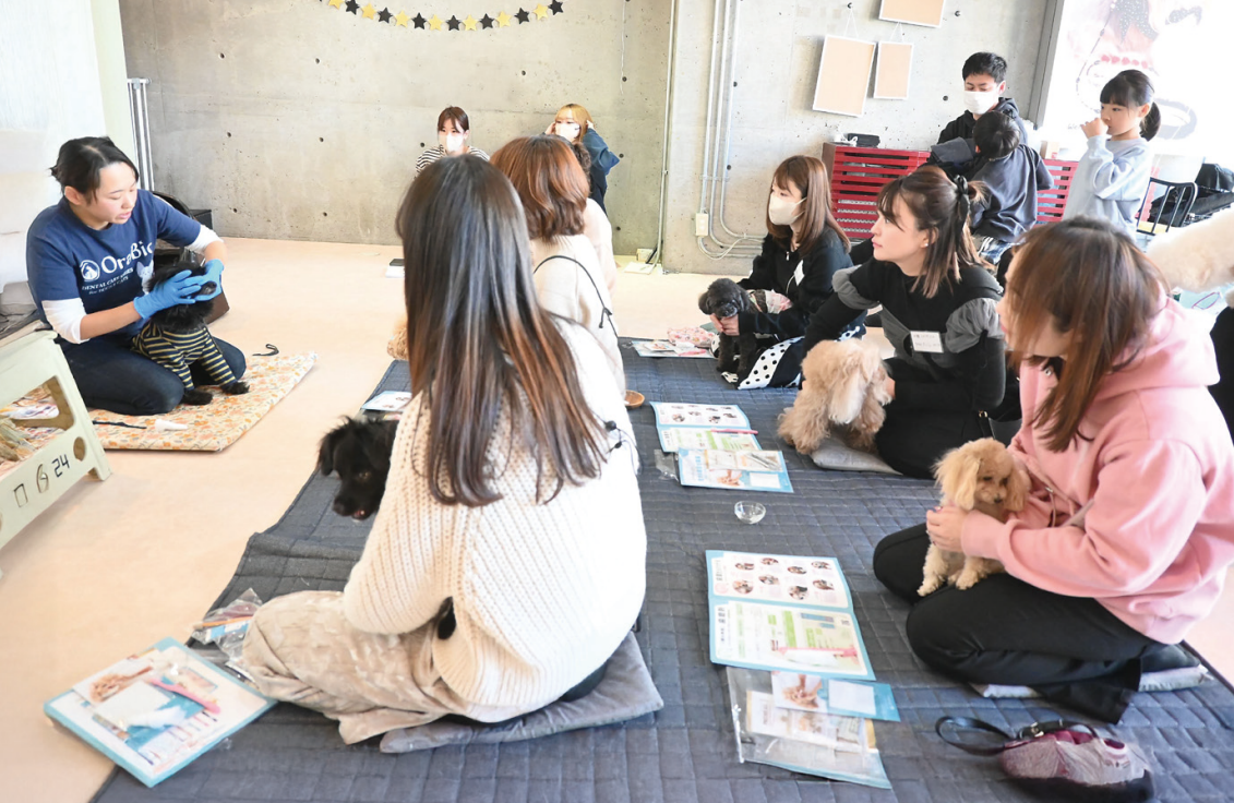 歯みがき教室の様子