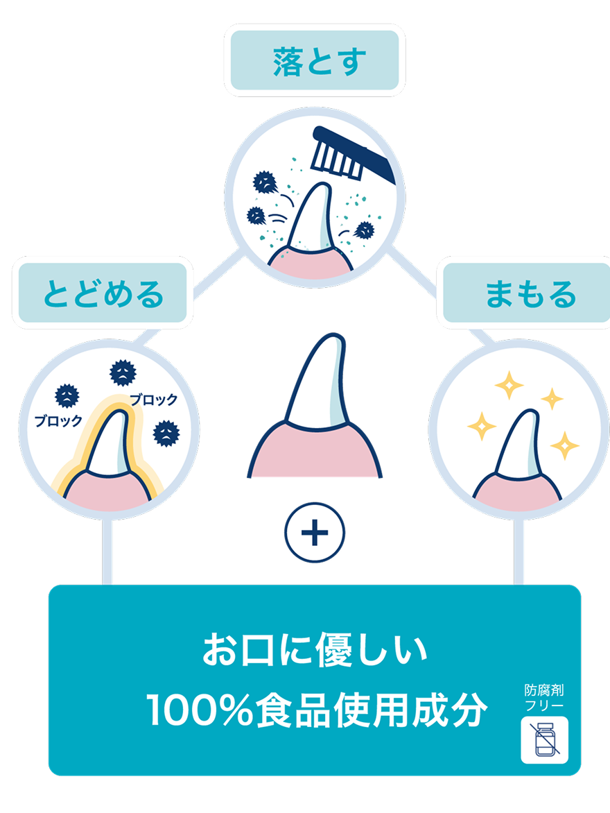 3つの機能の図解