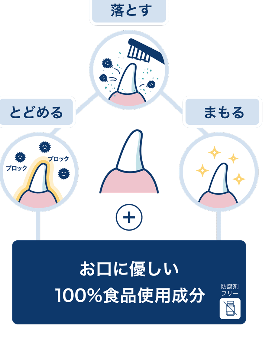 3つの機能の図解