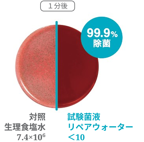 歯周病菌の除菌試験