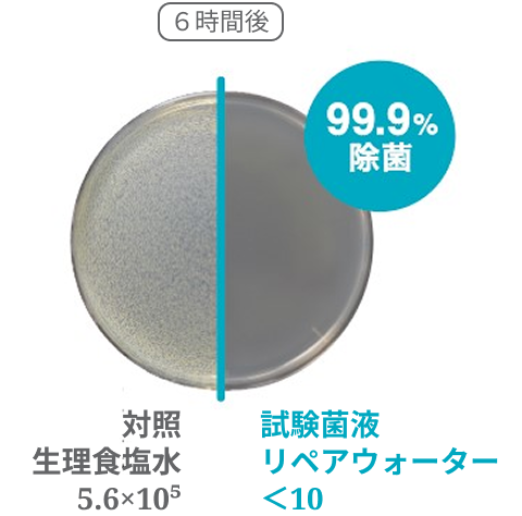 黄色ブドウ球菌の除菌試験