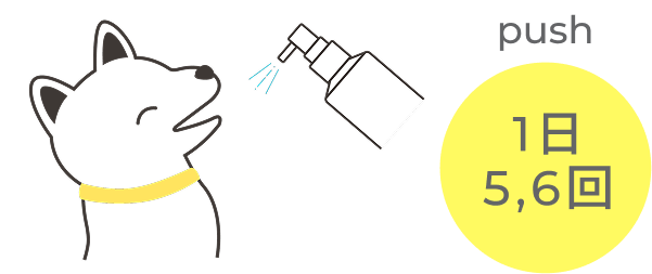1日5,6回の使用イメージ