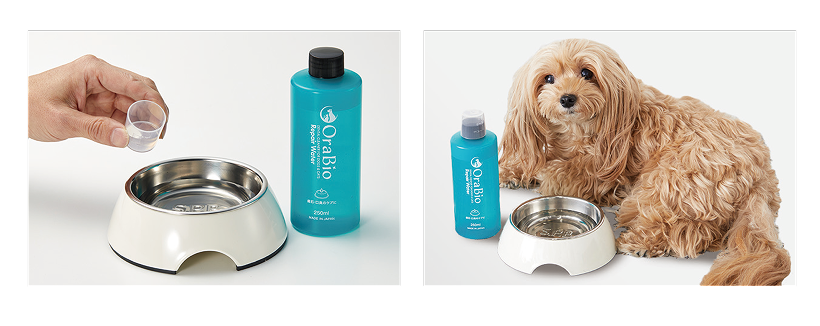 リペアウォーター250ml 使用シーン