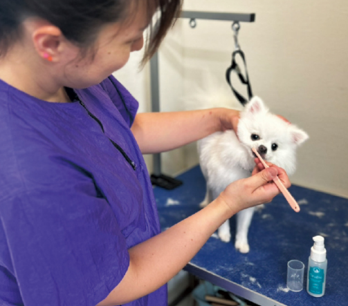 トリミング台で保定の様子