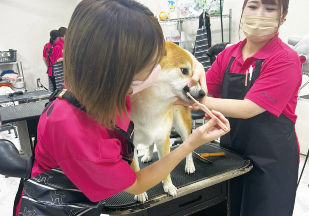 発展講座の実技風景